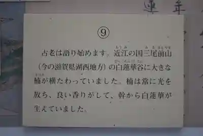 長谷寺(奈良県)
