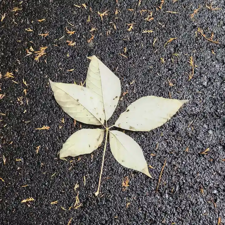 高岡神社(岡山県)