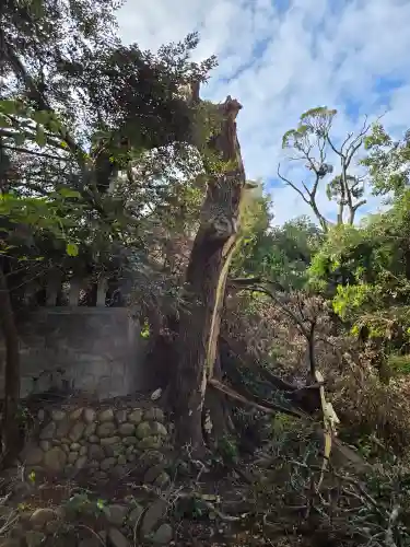飯室乃神社(静岡県)