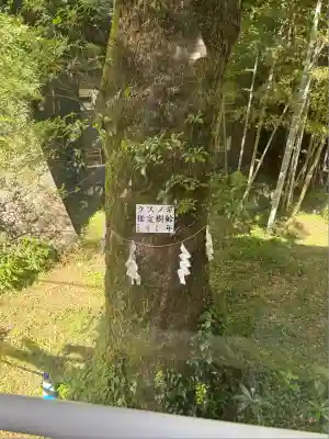 久能山東照宮(静岡県)