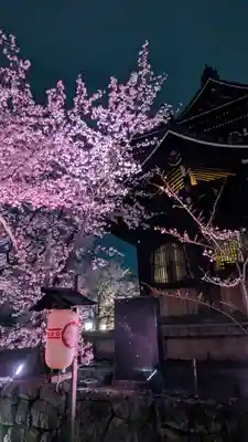 知恩院(京都府)