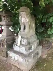 鴨島八幡神社の狛犬