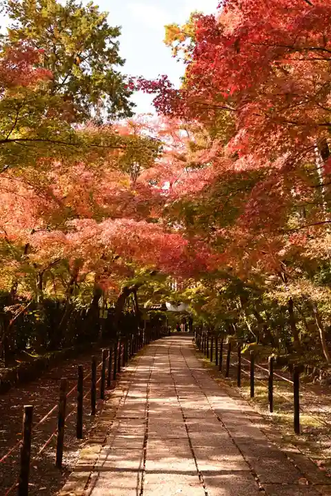 光明寺(粟生光明寺)(京都府)