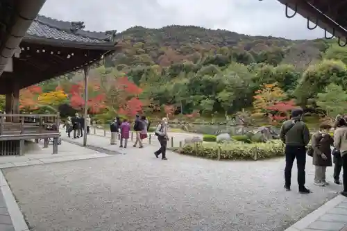 天龍寺の庭園