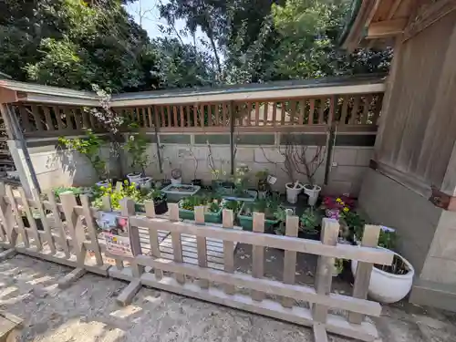 戸越八幡神社(東京都)
