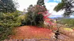 金比羅神社(京都府)