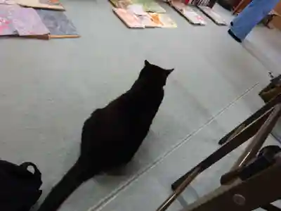 弥生神社の動物