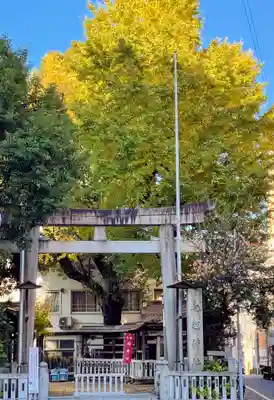 鳥越神社の鳥居