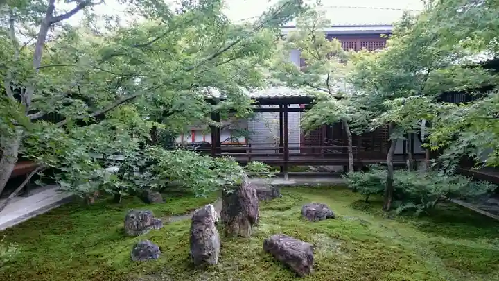 建仁寺(建仁禅寺)の庭園