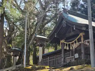 諏訪大社上社前宮(長野県)