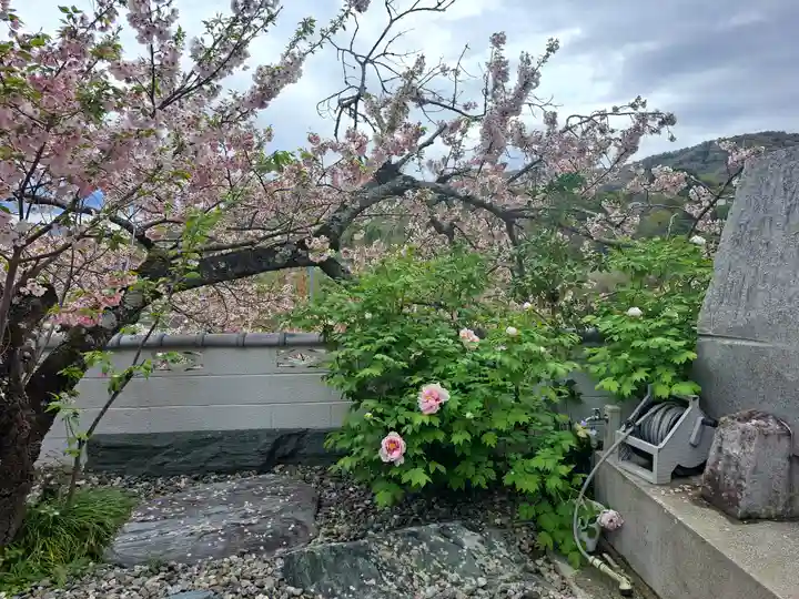 医光寺(徳島県)