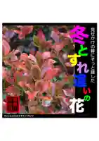 耕田院(山形県)