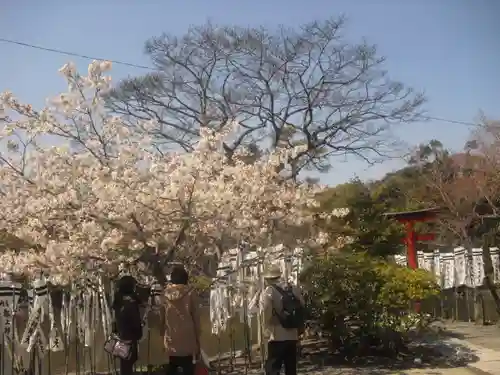 旗上弁財天社の自然