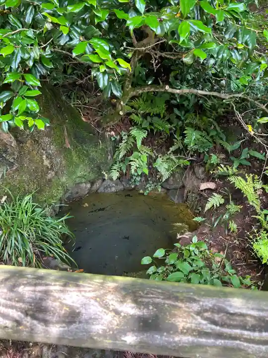 平泉寺白山神社(福井県)