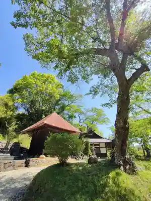 長徳寺のその他建物