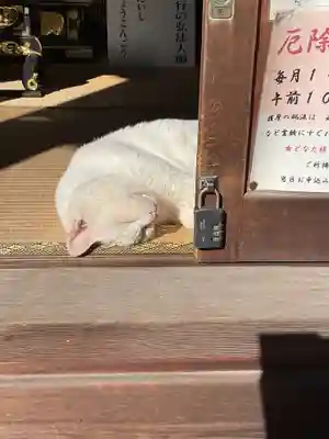 宝寿院(愛知県)