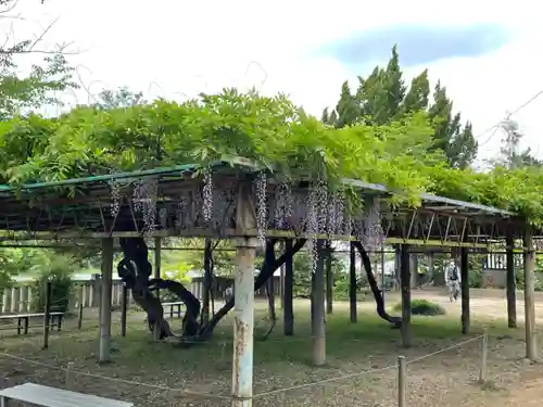 武蔵第六天神社の庭園