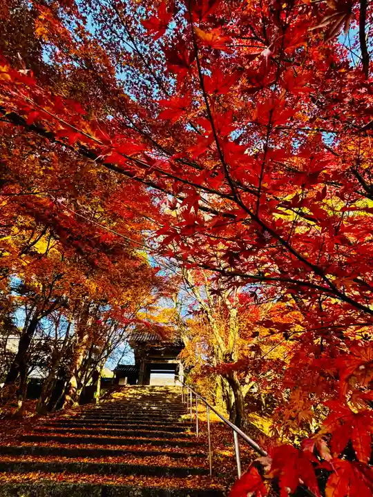安国寺(京都府)