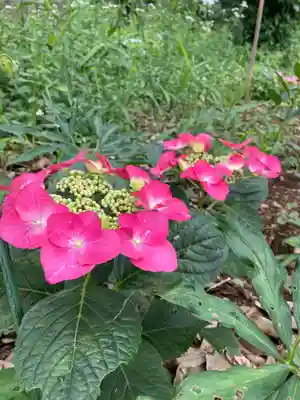 息栖神社の自然