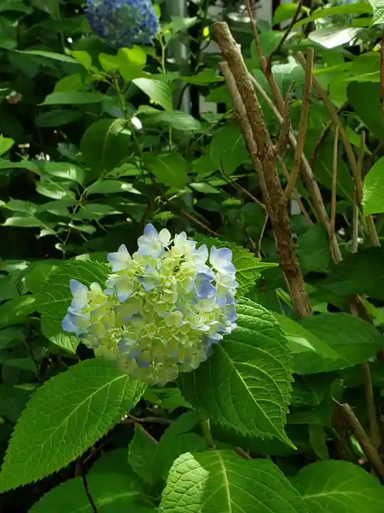 青山熊野神社(東京都)