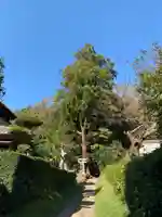 十二所神社の自然