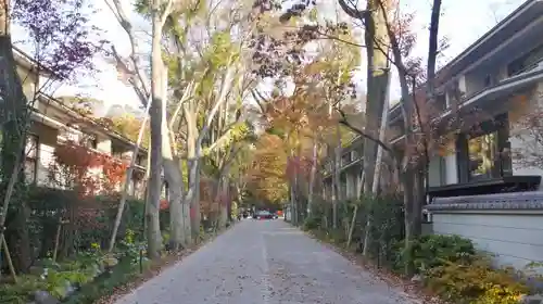 賀茂御祖神社（下鴨神社）の自然