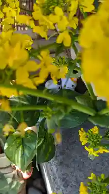 玉田神社(京都府)