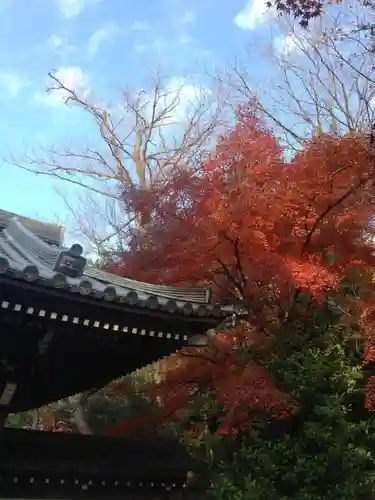 観泉寺の山門