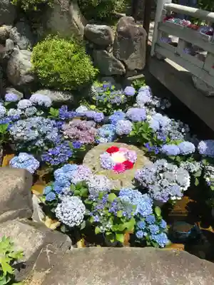岡寺(龍蓋寺)(奈良県)