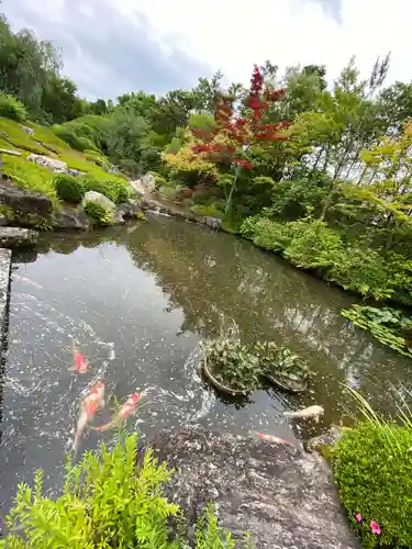 退蔵院の庭園