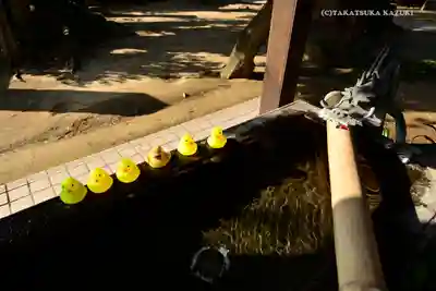 柏諏訪神社の手水舎