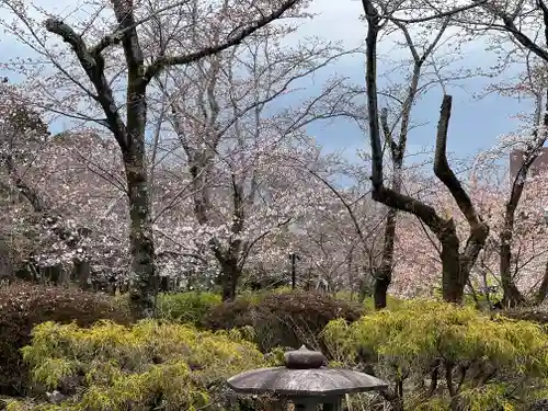富士山本宮浅間大社の自然