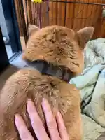 笠䅣稲荷神社(神奈川県)