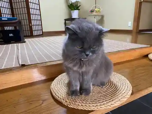 清徳寺(東京都)