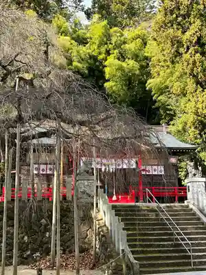小川諏訪神社の本殿・本堂