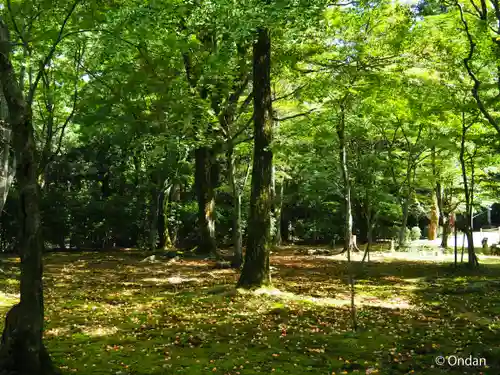 圓教寺(兵庫県)