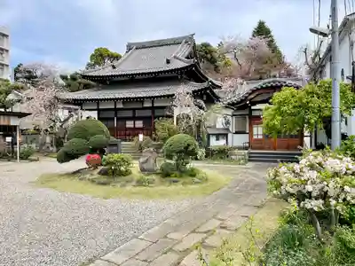 青雲寺(東京都)