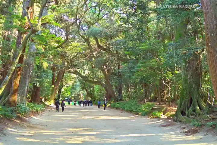 奥宮(鹿島神宮摂社)(茨城県)