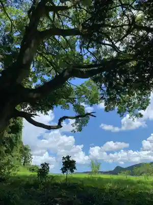 大井神社（太郎神社）(茨城県)