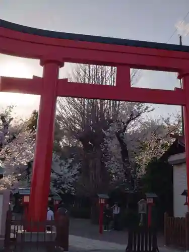 鷲宮神社の鳥居