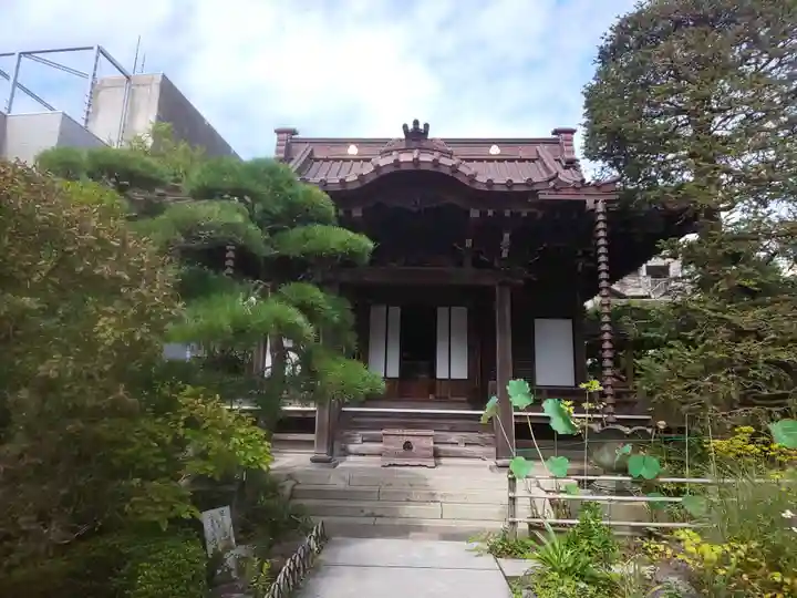 大巧寺の本殿・本堂