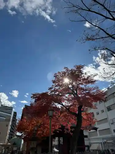 護国寺(東京都)