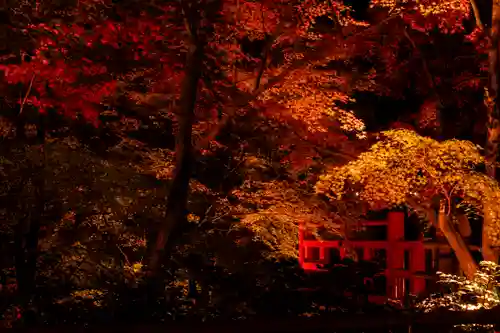 北野天満宮(京都府)