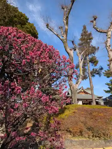 中野沼袋氷川神社(東京都)