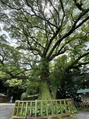 高良大社(福岡県)