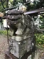 菊田神社の狛犬