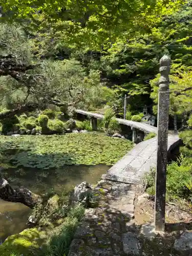 法華寺の{uncategorized: "未分類", other: "その他", undefined: "問題あり", building: "その他建物", grave: "お墓", sacred_gate: "鳥居", guardian: "狛犬", statue: "像", buddha: "仏像", history: "歴史", nature: "自然", garden: "庭園", animal: "動物", pagoda: "塔", temizu: "手水舎", mountain_gate: "山門・神門", sanctuary: "本殿・本堂", subordinate: "末社・摂社", art: "芸術", scenery: "景色", jizo: "地蔵", ema: "絵馬", goshuin: "御朱印", omikuji: "おみくじ", items: "授与品その他", amulet: "お守り", goshuincho: "御朱印帳", eats: "食事", festival: "お祭り", votive_dance: "神楽", shichigosan: "七五三参", wedding: "結婚式", experience: "体験その他", initially: "初詣", around: "周辺", anti_infection: "感染症対策"}