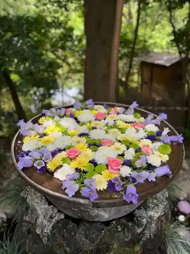 武蔵一宮氷川神社の手水