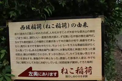 西坂ねこ稲荷神社の歴史