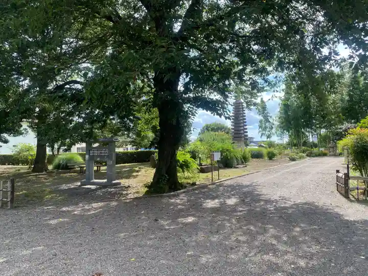 下野薬師寺 (旧 安國寺)(栃木県)